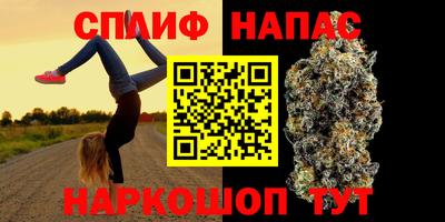 a pvp Бердск