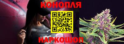 a pvp Бердск